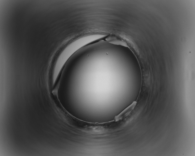 X0000088040395200705251306