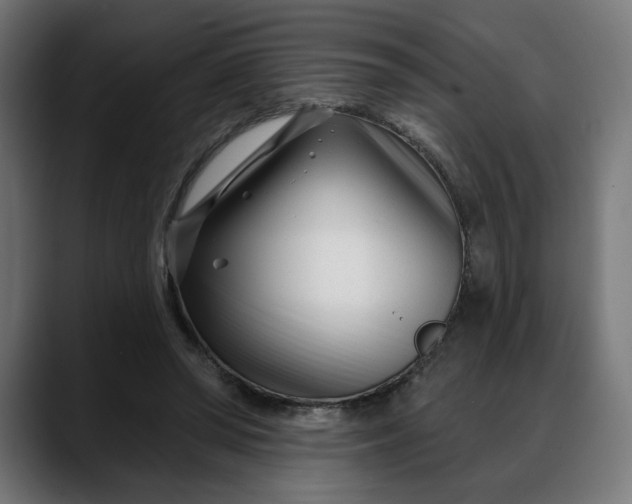 X0000088040398200705251306