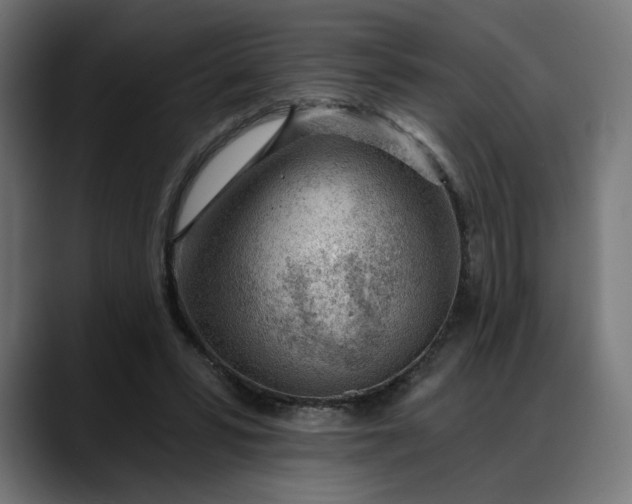 X0000088040399200705251306