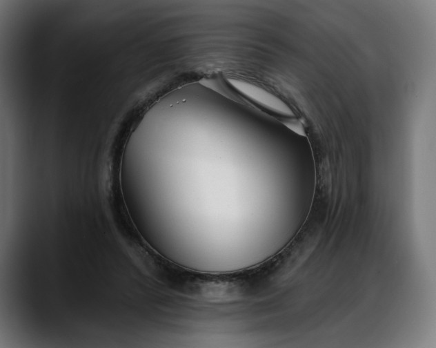 X0000088040400200705251306