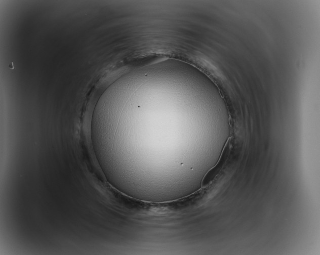 X0000088040401200705251306