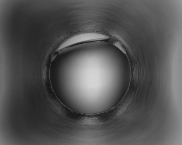 X0000088040403200705251306