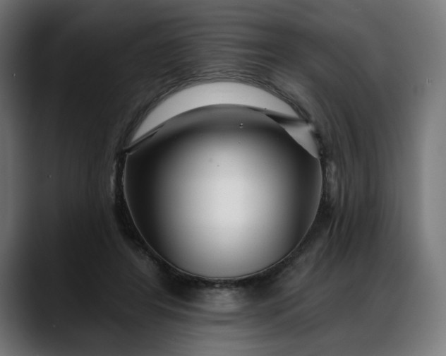 X0000088040404200705251306