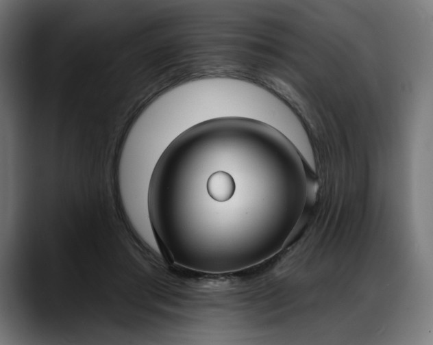 X0000088040405200705251306