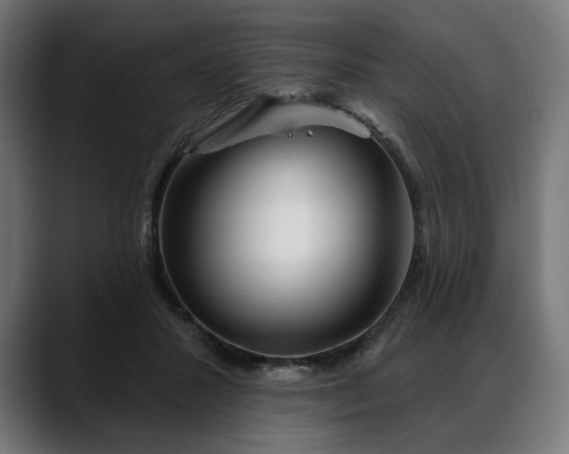 X0000088040407200705251306