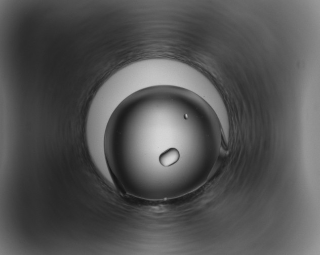 X0000088040411200705251306