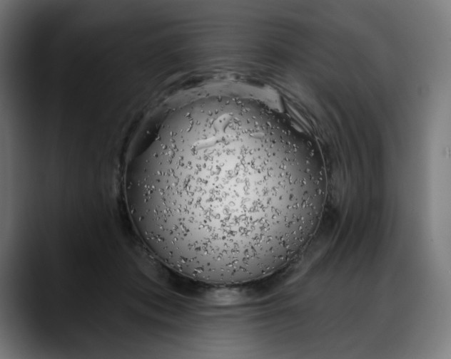 X0000088040413200705251306