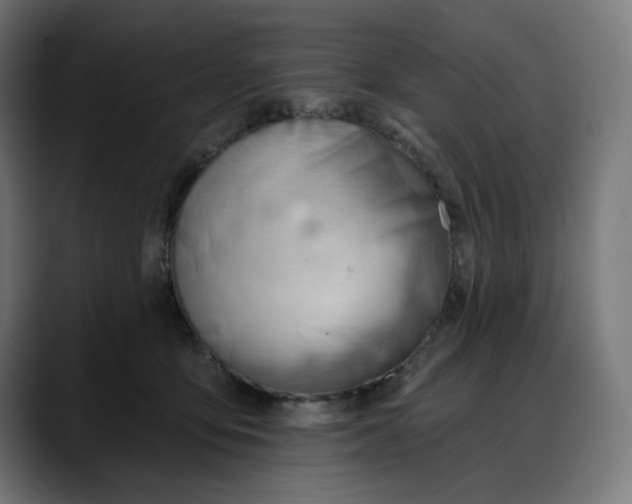 X0000088040419200705251306