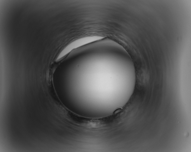 X0000088040420200705251305