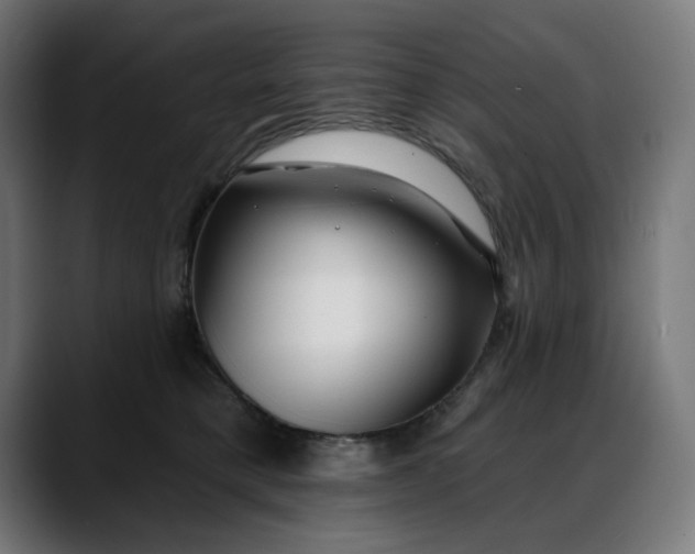 X0000088040421200705251305