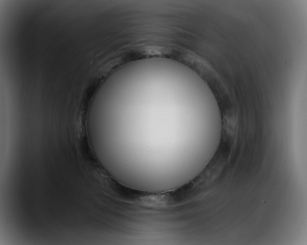 X0000088040422200705251305