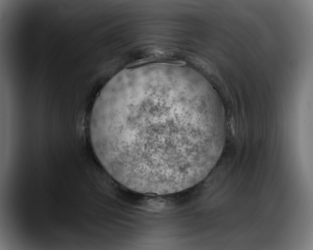 X0000088040423200705251305