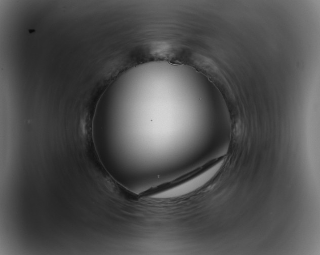 X0000088040424200705251305