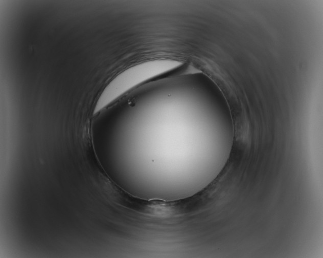 X0000088040425200705251305