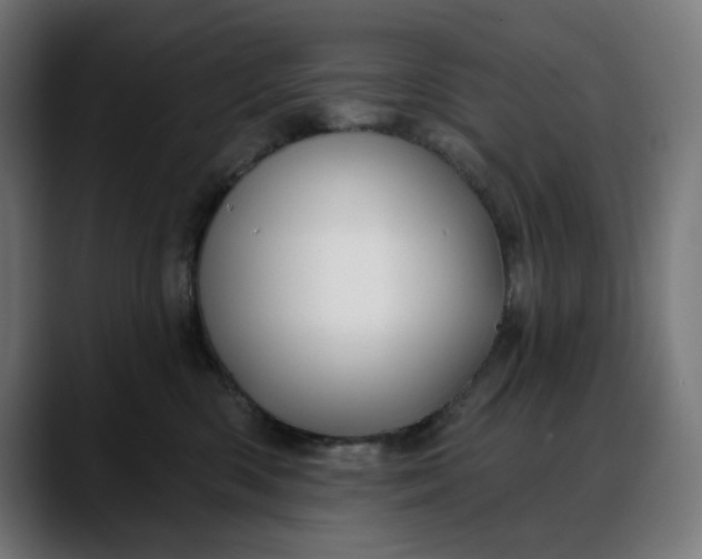 X0000088040426200705251305