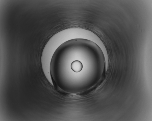 X0000088040429200705251305