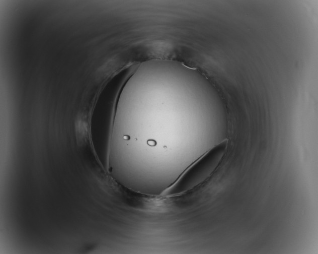 X0000088040432200705251305