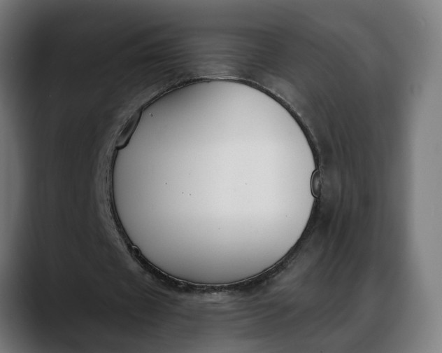 X0000088040433200705251305