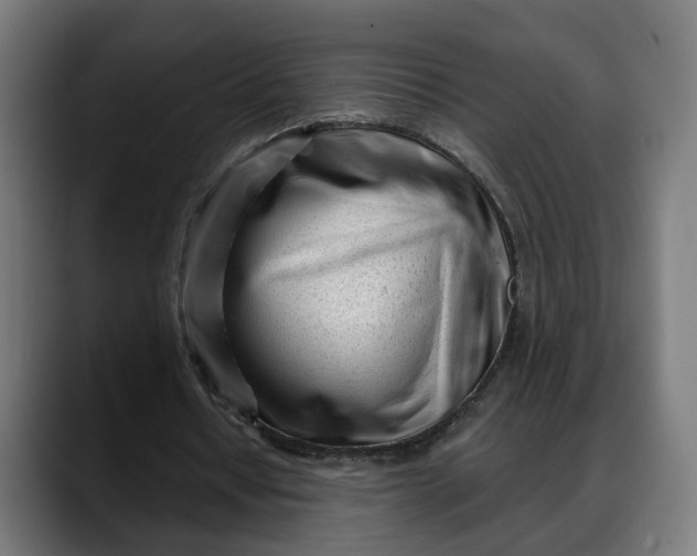 X0000088040434200705251305