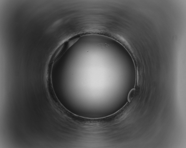 X0000088040435200705251305