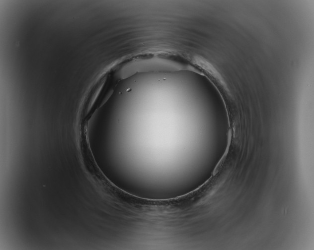 X0000088040436200705251305