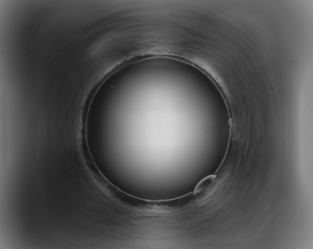 X0000088040437200705251305