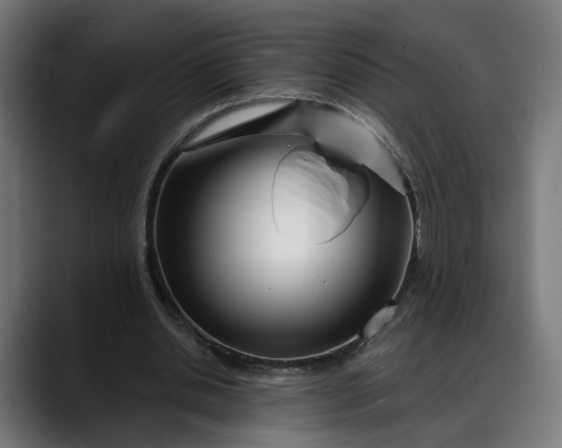 X0000088040438200705251305