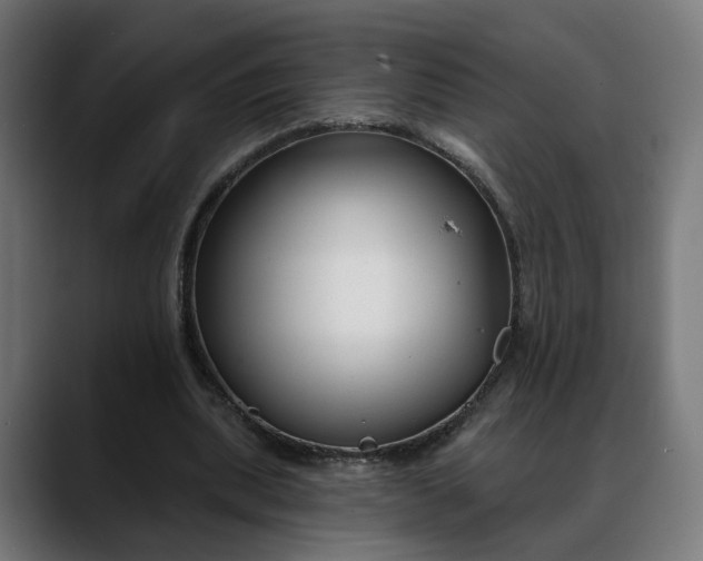 X0000088040439200705251305