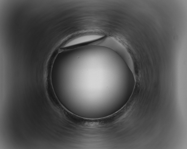 X0000088040440200705251305