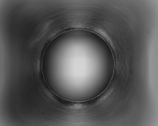 X0000088040441200705251305