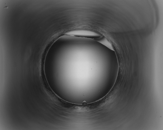 X0000088040442200705251305