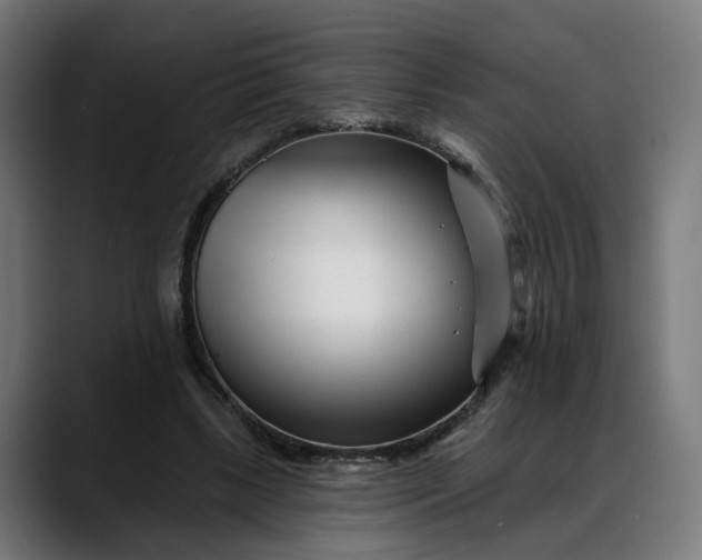 X0000088040443200705251305