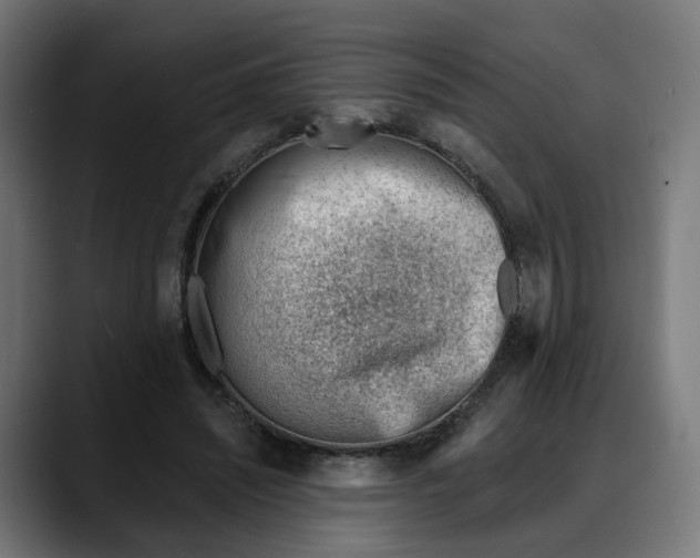 X0000088040444200705251305