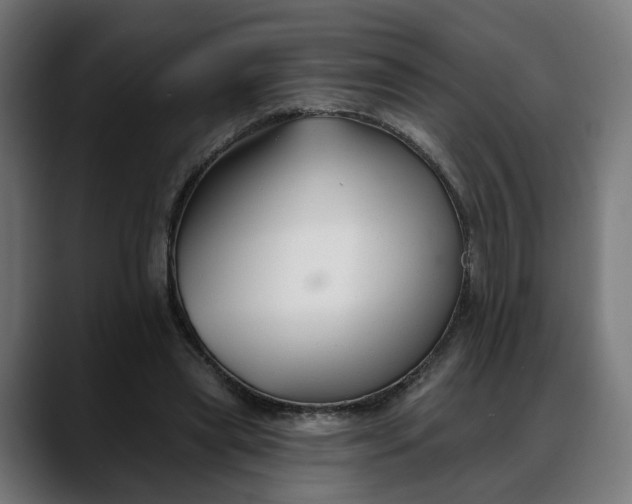 X0000088040445200705251305