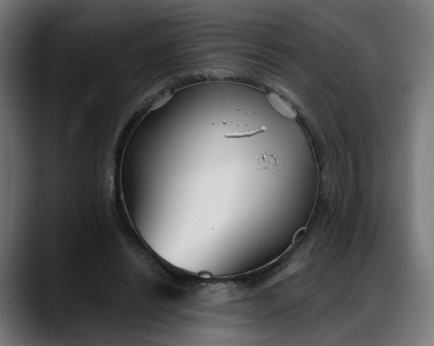 X0000088040446200705251305