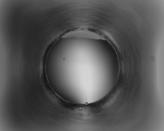 X0000088040447200705251305