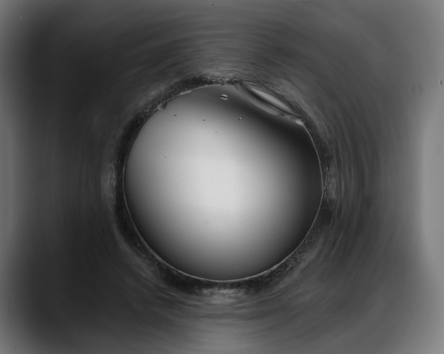 X0000088040448200705251305