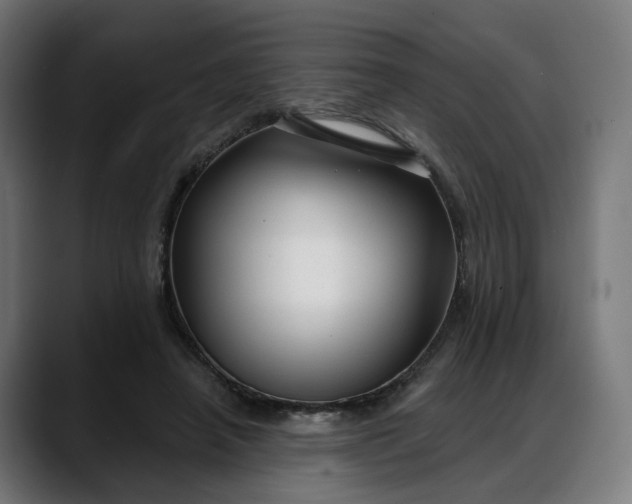 X0000088040450200705251305