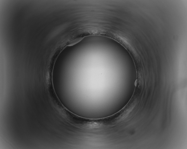 X0000088040453200705251305