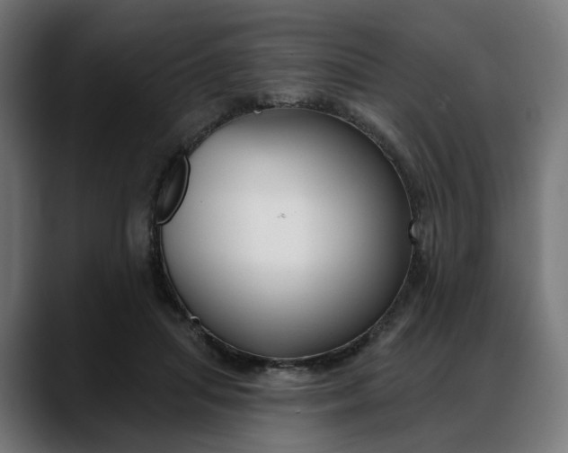 X0000088040455200705251305