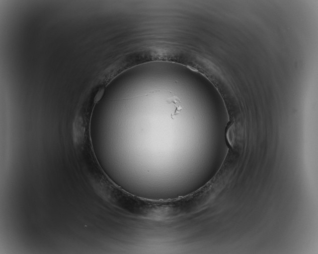 X0000088040456200705251305