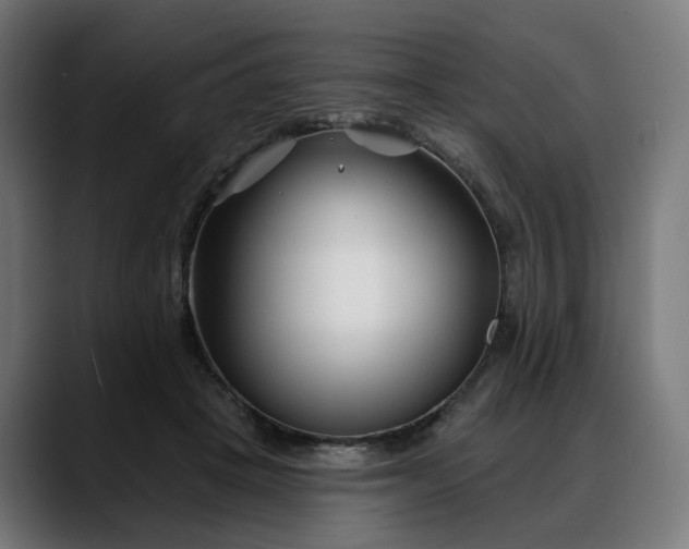 X0000088040457200705251305