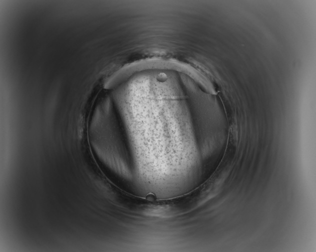 X0000088040458200705251305