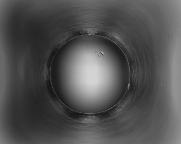 X0000088040459200705251305