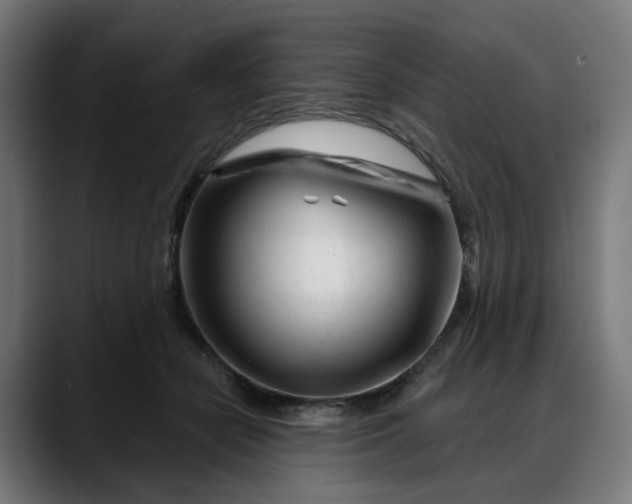 X0000088040462200705251305