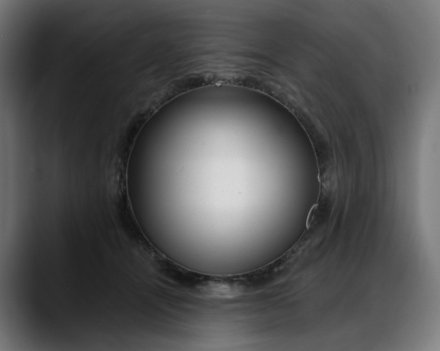 X0000088040464200705251305