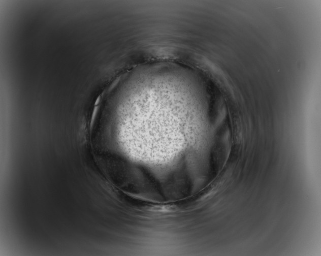 X0000088040465200705251305