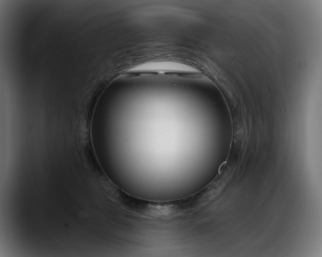 X0000088040469200705251305