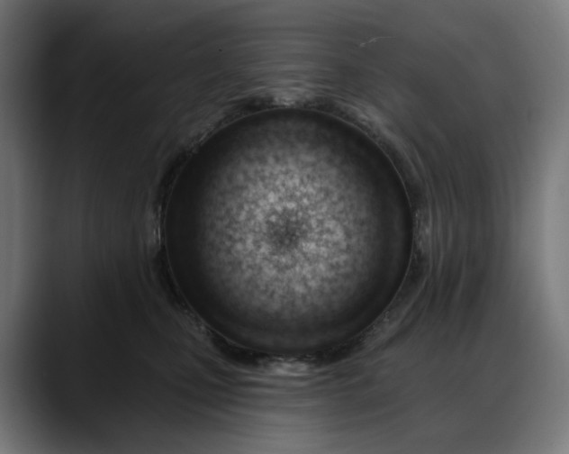 X0000088040471200705251305