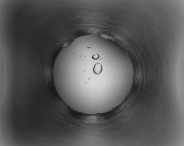 X0000088040473200705251305